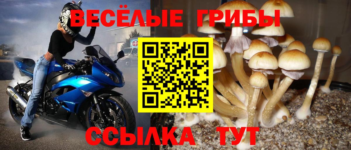 Галлюциногенные грибы Psilocybine cubensis  Псилоцибиновые грибы Psilocybine cubensis  Вход с VPN  Ялта 